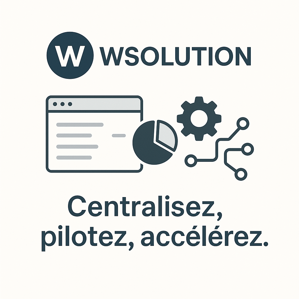 Schéma explicatif: Centraliser, pilotez et accélérez vos flux web grace à WSolution